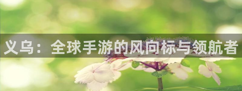 汇丰娱乐预测：义乌：全球手游的风向标与领航者