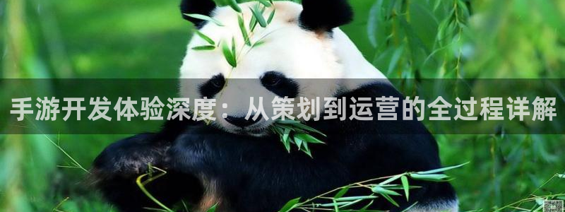 汇丰娱乐v5.6.0：手游开发体验深度：从策划到运营的全过程