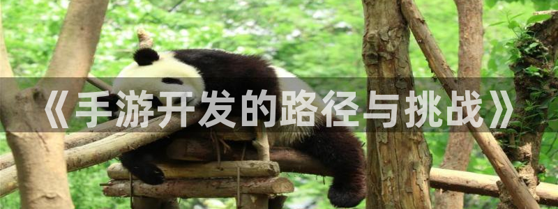 汇丰娱乐开奖历史：《手游开发的路径与挑战》