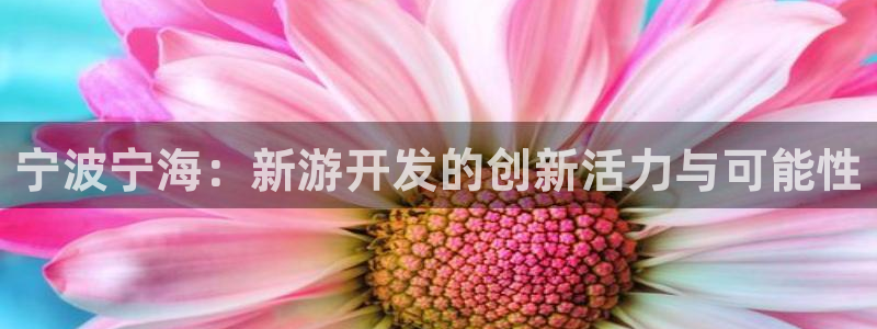 汇丰娱乐预测软件北京：宁波宁海：新游开发的创新活力与可能性