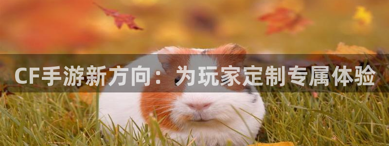 汇丰娱乐预测官网：CF手游新方向：为玩家定制专属体验
