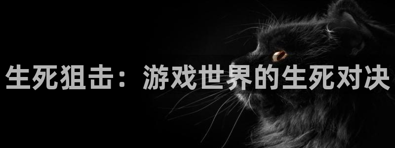 汇丰娱乐加拿大在线上分：生死狙击：游戏世界的生死对决
