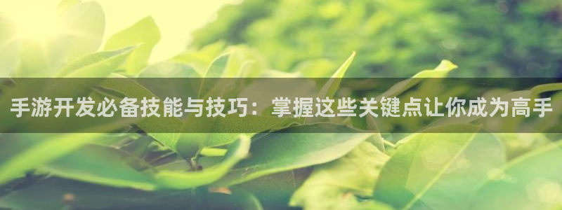 汇丰娱乐官方下载ios：手游开发必备技能与技巧：掌握这些关键