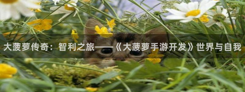 汇丰娱乐零一预测：大菠萝传奇：智利之旅——《大菠萝手游开发》