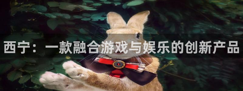 汇丰娱乐ios下载：西宁：一款融合游戏与娱乐的创新产品