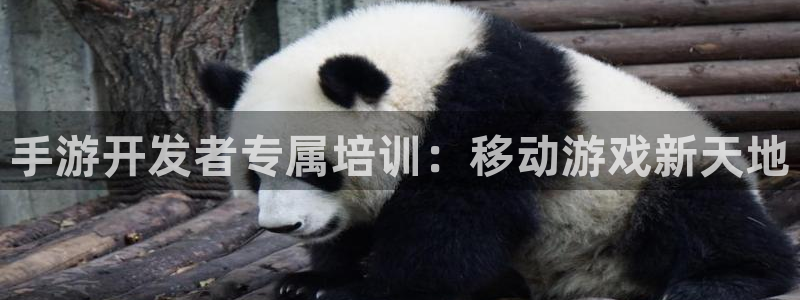 pc28开奖网站大神：手游开发者专属培训：移动游戏新天地