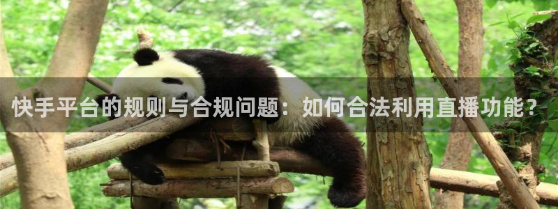 so米直播篮球在线直播