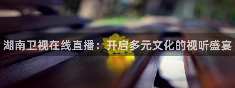 so米篮球直播