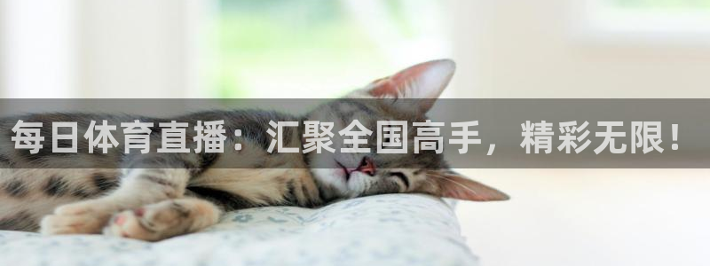 so米在线体育直播