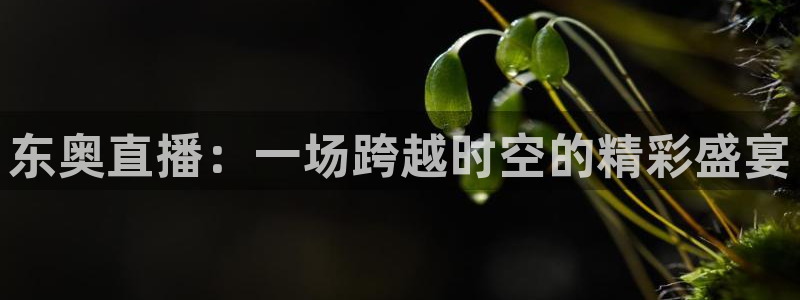 so米体育比赛视频直播