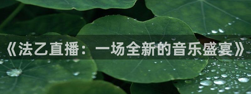so米体育在线直播观看