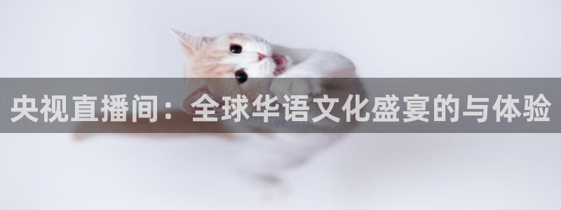 so米直播足球：央视直播间：全球华语文化盛宴的与体验