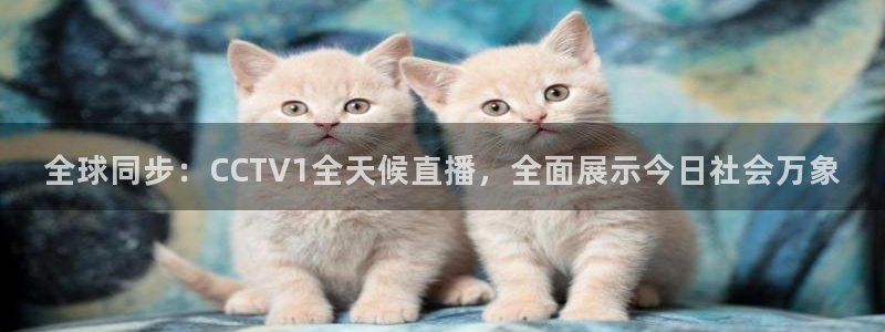 足球so米直播：全球同步：CCTV1全天候直播，全面展示今日社会万象