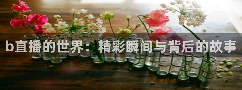 so米体育篮球直播在线