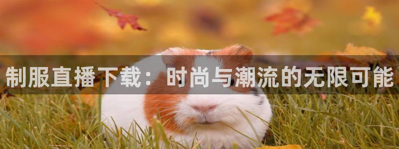 so米体育直播官网