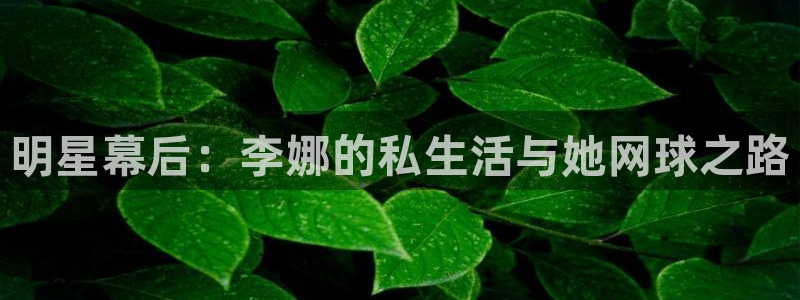 so米体育比赛直播