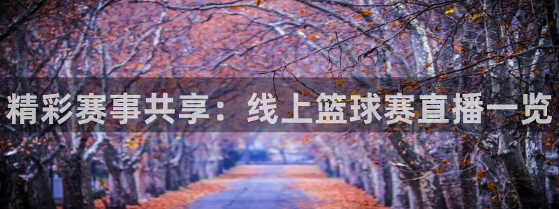 so米直播看球：精彩赛事共享：线上篮球赛直播一览