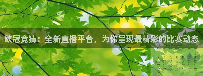 so米体育在线观看：欧冠竞猜：全新直播平台，为你呈现最精彩的比赛动态