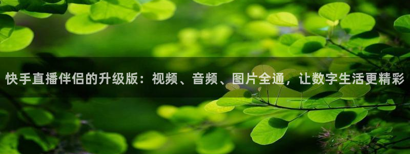 so米体育直播nba在线观看：快手直播伴侣的升级版：视频、音频、图片全通，让数字生活更精彩