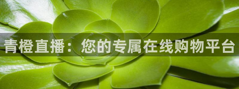 so米直播体育：青橙直播：您的专属在线购物平台
